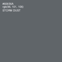 #60656A - Storm Dust Color Image
